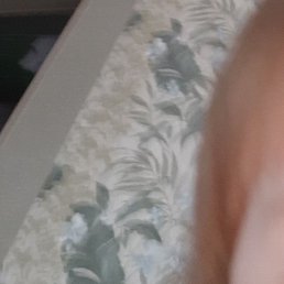 �������, ������, 44 ����