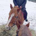 ���� ����, ������, 26 ��� - ��������� 1 ����� 2025 � ������ ���� ����������