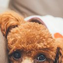 ���� �������, �������, 61 ��� - ��������� 7 ������� 2025