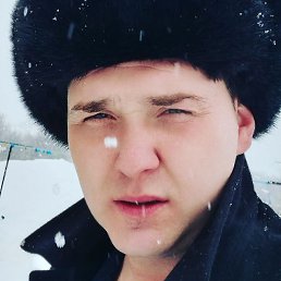 �������, ��������, 37 ���