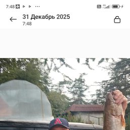 ������, �������, 39 ���