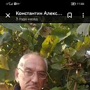 Konstantin, , 60  -  16  2025