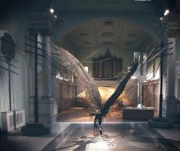 �����������