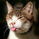  , -, 41  -  24  2024    