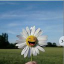 ���� ����, ������, 52 ���� - ��������� 29 ������� 2025 � ������ ���� ����������