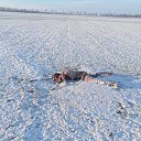 ���� ��������� �����������, ������, 24 ���� - ��������� 15 ������� 2024 � ������ ���� ����������