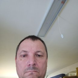 , 53 , -