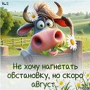 ���� �������, �����-��������� - ��������� 26 ���� 2025 � ������ ������ ��������