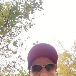 , 50, 