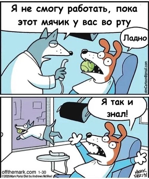  - 4  2025  15:26