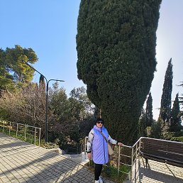 ������, ���������, 70 ���