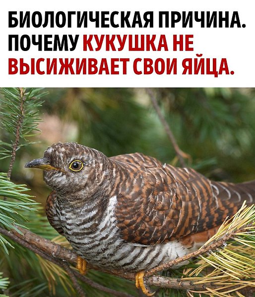 �� �������� �� ������� ��������