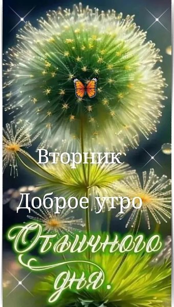 Доброе утро! Пусть с рассветом придут благие вести, идеи, вдохновение, чудесное настроение! ...