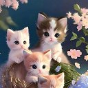 ���� ����, ����-�����, 64 ���� - ��������� 28 ������ 2026 � ������ ���� ����������