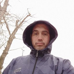 ������, 41 ���, ���������