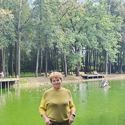 ���� ����, �����������, 66 ��� - ��������� 24 ������ 2024