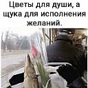 ���� ����, �������, 66 ��� - ��������� 19 ����� 2024 � ������ ���������