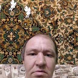 �������, 41 ���, ����