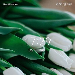 ����, ������, 23 ����