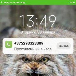 ���� �����, �����, 53 ���� - ��������� 1 ������� 2024