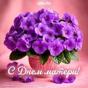 ���� ����, ������ - ��������� 30 ������ 2025 � ������ ������ ��������