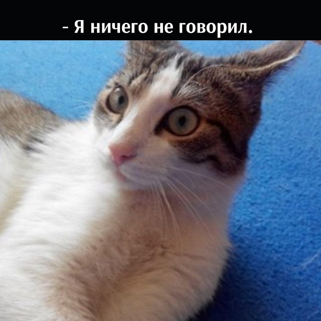 ��� ���� � ����� �� �� - 5 ����� 2026 � 22:00 - 2