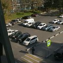 ���� ���� �������������, ��������� - ��������� 8 ������ 2026 � ������ ���� ����������