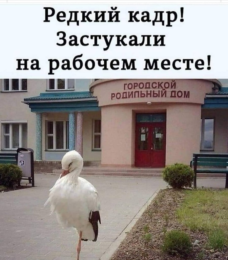   - 4  2025  07:17