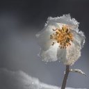 ���� �������, ������ - ��������� 6 ������� 2026 � ������ ������ ��������