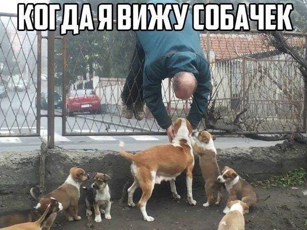  - 8  2025  03:40