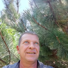 , 48, 