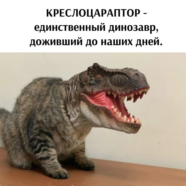       - 12  2024  15:57