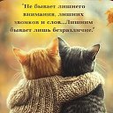 ���� �����, ��������� - ��������� 24 ������� 2026 � ������ ������ ��������