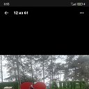 ���� �����, ����������, 41 ��� - ��������� 28 ������� 2023