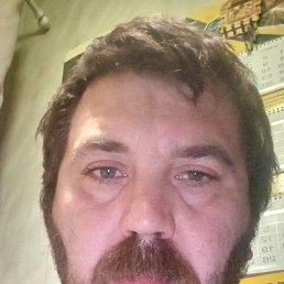 , 41, -