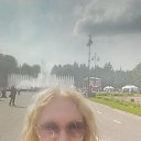 ���� ����, ������, 43 ���� - ��������� 2 ���� 2026 � ������ ���� ����������