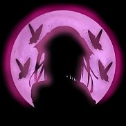 ����, 20 ���, �������������