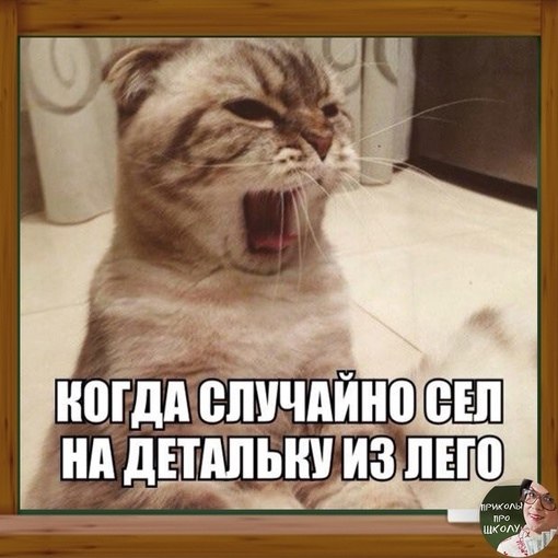 �����? ��, �� �������! - 21 ������� 2023 � 08:43