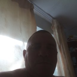 , 43, 