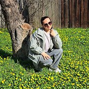 ����, 41 ���, �������