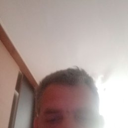 , , 43 