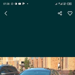 ���� �����, �����-���������, 34 ���� - ��������� 11 ������ 2024