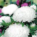 ���� �����, ����� - ��������� 6 ������� 2024 � ������ ���� ����������