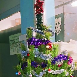 ���� ����, �������, 59 ��� - ��������� 28 ������� 2024