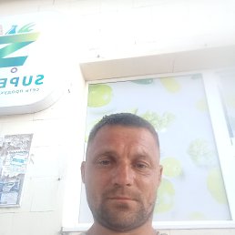 , 39, 