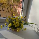 ���� ��������, ������, 59 ��� - ��������� 4 ������� 2024 � ������ ���� ����������