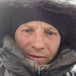 �������, ������, 41 ���