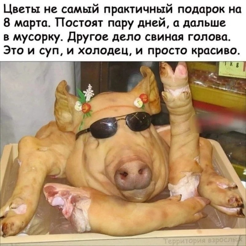 - 8  2025  12:28