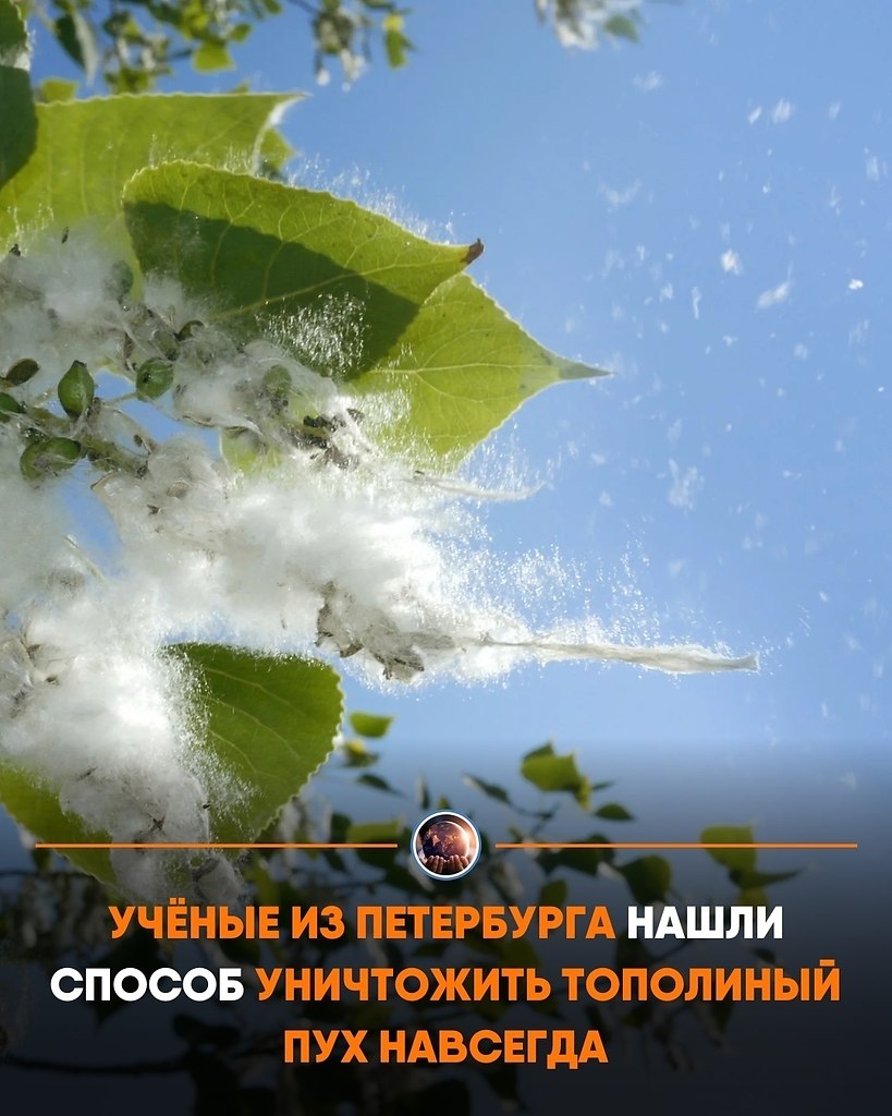 cceoae  aeeppa papaoa eo cpe o pace  eo . ...