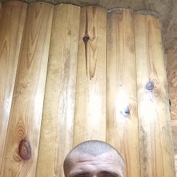 , 36, 